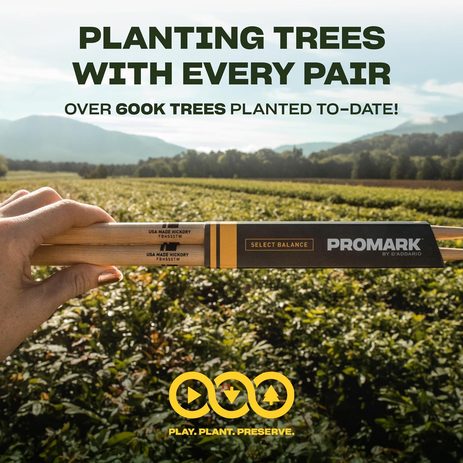 81GDVS0ZBuL._SL1500_